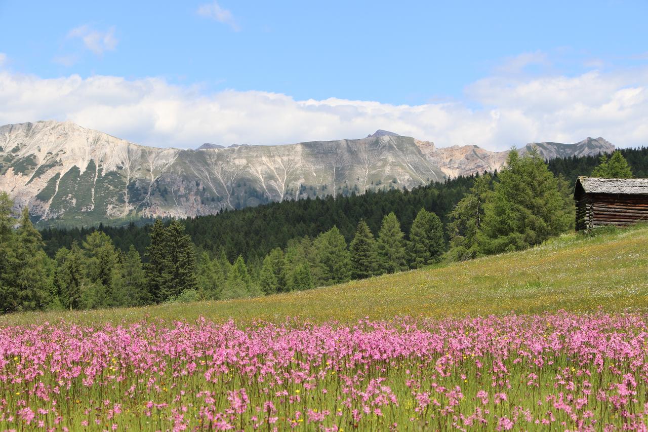 Hotel Alpenrose Dolomites ลาวาลเล ภายนอก รูปภาพ