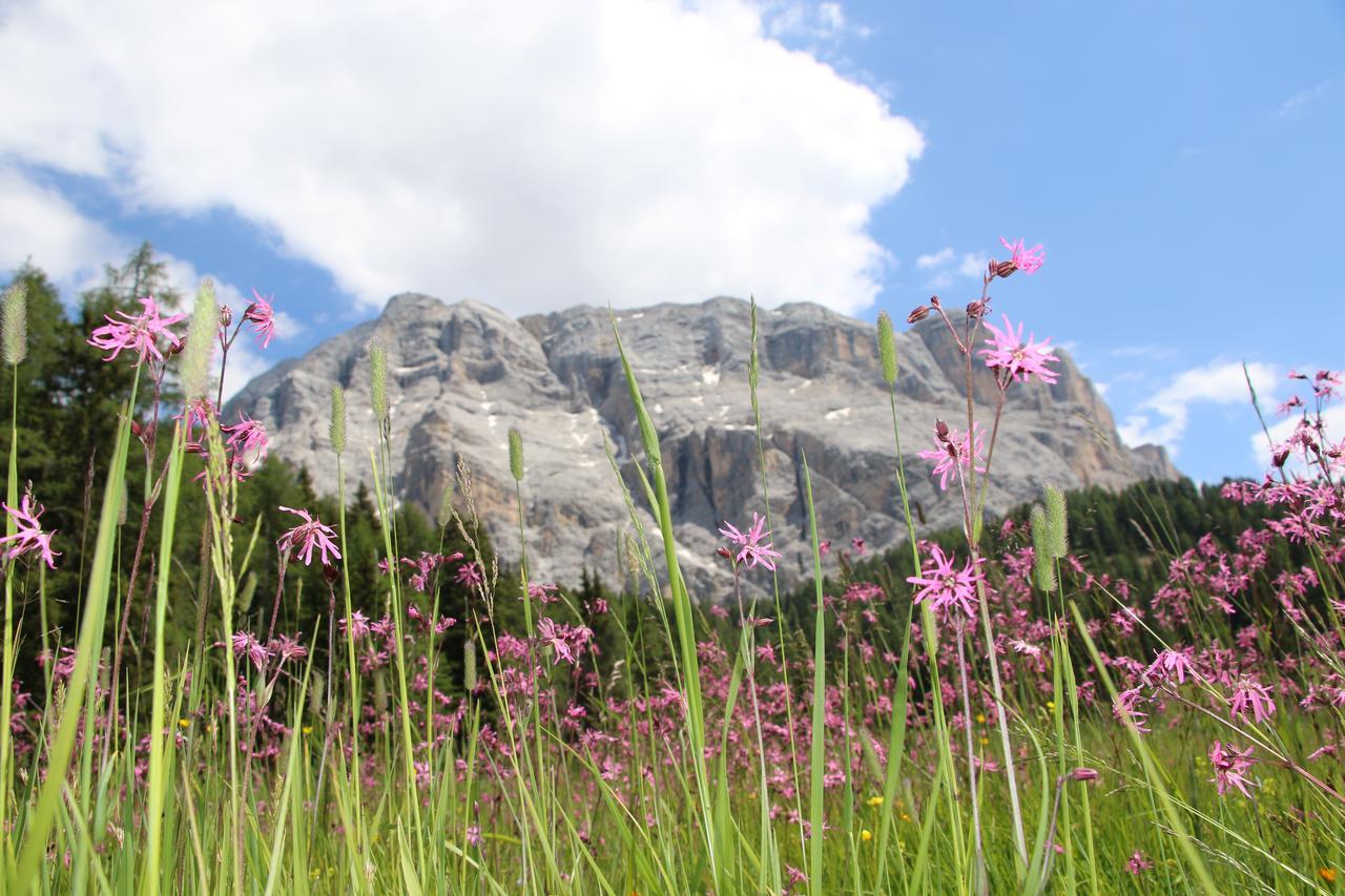 Hotel Alpenrose Dolomites ลาวาลเล ภายนอก รูปภาพ